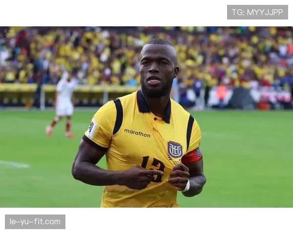 凯塞多在厄瓜多尔队作用显著，中场核心地位稳固