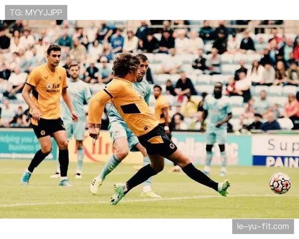 内维斯远射进球及禁区外得分占比分析